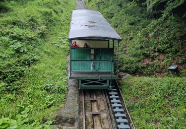 Tour Wandern Mont-Dore - 2021-06-30 chemin des médecins et chemin des artistes (capucins) - Photo