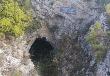 Excursión Bici de montaña Plan-de-Cuques - Départ chemin de la grave - Photo