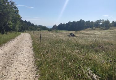 Trail Walking Plan-de-Baix - ferme de sauzy canyon des guelards retour par le velan - Photo