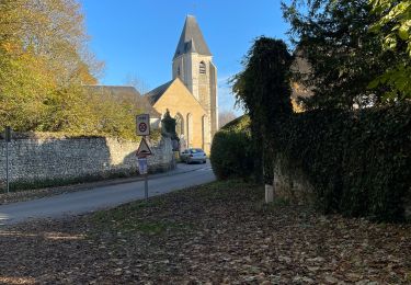 Trail Walking Sablons sur Huisne - Condeau le. 11/11/2021 - Photo