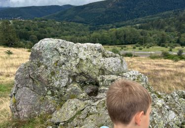 Trail sport Grendelbruch - Grendelbruch cercle de pierres  - Photo