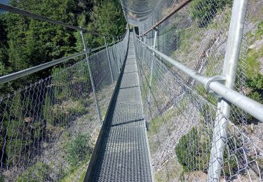 Randonnée Marche Savièse - bises de torrent neuf - Photo