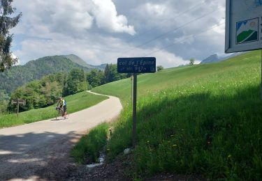 Excursión Bici de carretera Saint-Jorioz - REALISE P1 Col de l'Epine-La Tournette - Photo
