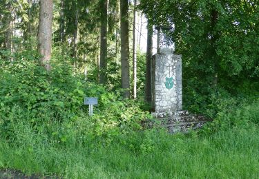 Randonnée A pied Lappersdorf - Permanenter Wanderweg (rot) - Photo