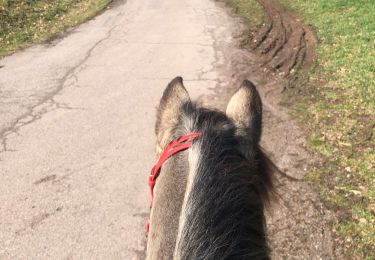Trail Horseback riding Sainte-Barbe - Affaya boucle innutile 1 - Photo