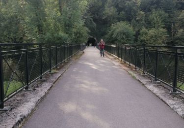 Percorso Marcia Vresse-sur-Semois - Rando au départ de Bohan  - Photo