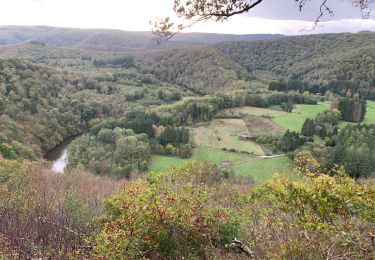 Excursión Senderismo Vresse-sur-Semois - Semois 1 - Photo