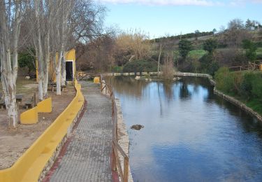 Randonnée A pied Coín - Sendero Camino de la Fuente - Photo