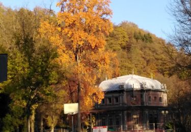 Randonnée Marche Spa - musée du l'avoir		+ bois de Spa + étang de Chawion - Photo