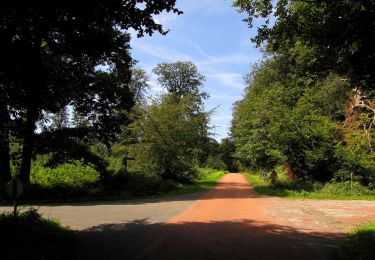 Percorso Marcia Haramont - en forêt de Retz_79_08_2019_vers Taillefontaine et Retheuil par les lisières - Photo