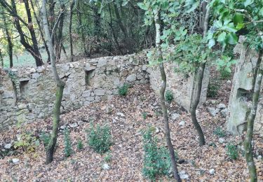 Tour Wandern La Roquebrussanne - croix de bérard. agnis - Photo