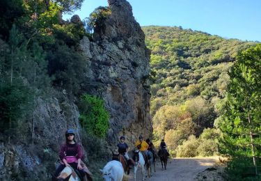 Trail Horseback riding Rosis - GITE DE MADALE JOUR 2 - Photo