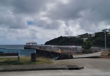 Tour Pfad La Trinité - SLNA SUD - Trinité (cosmy) / Marigot (port)  - Photo