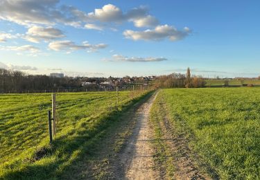 Trail Walking Asse - Zellik 8,5 km - Photo