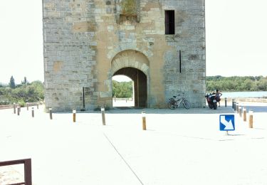 Trail Electric bike Arles - CrinBlanc-Aigurd-Morted - Photo