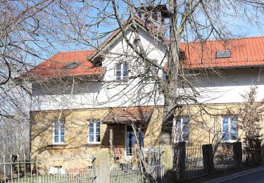 Percorso A piedi Weißenbrunn - Wildenberger Buchenweg (Kronach) - Photo