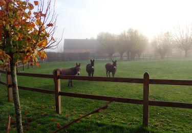 Trail Walking Ramillies - 201123 - Huppaye, Ste Barbe et Basse du Temple - Projet en cours - Photo