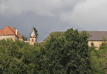 Excursión A pie Dechantskirchen - Waldviertelweg (Weg D, 3,7 km) - Photo