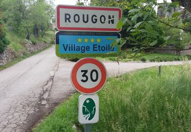 Tour Wandern La Palud-sur-Verdon - La Palud sur Verdon Rougon - Photo