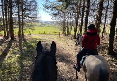 Tour Reiten Léglise - Légalise via Rancimont - Photo