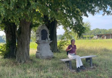 Tocht Stappen Genepiën - Autour de Baisy Thy - Photo