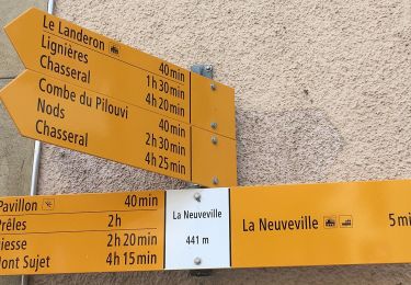 Excursión A pie La Neuveville - Festi - fixme - Photo