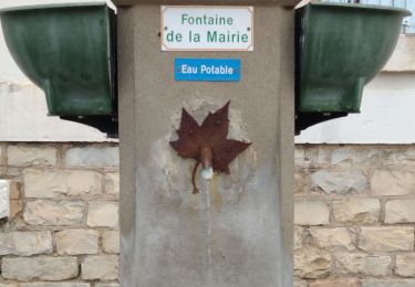 Trail Walking Peyruis - Promenade des fontaines de Peyruis - Photo