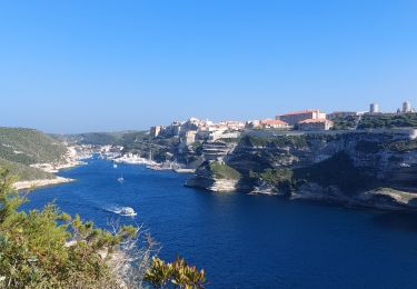 Tour Wandern Bonifacio - plages des calanques et phare - Photo