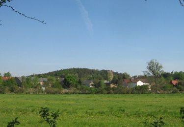 Tocht Te voet Groß Kreutz (Havel) - Mühlenrundweg - Photo