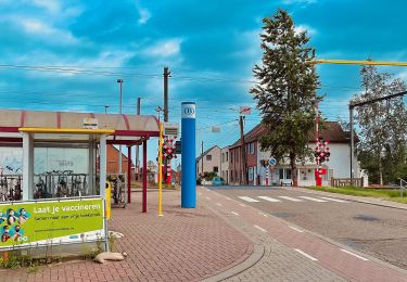 Excursión A pie Rotselaar - Wijndorpwandeling - Photo