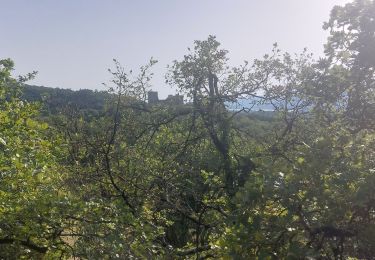 Randonnée Marche Les Tourrettes - Les Tourettes 8km5 - Photo