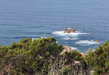 Randonnée Marche Pietrosella - tour de l'isolella - Photo