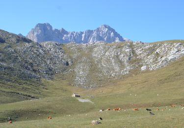 Tocht Stappen Camaleño - fuente de picos de europa - Photo