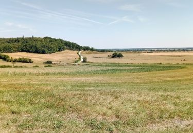 Tocht Stappen Villers-en-Argonne - Villers en Argonne du 24/07/2022 - Photo