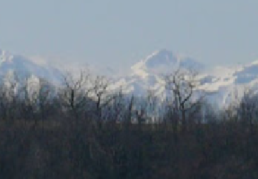 Tocht Stappen Vic-le-Comte - Lachaux - Photo