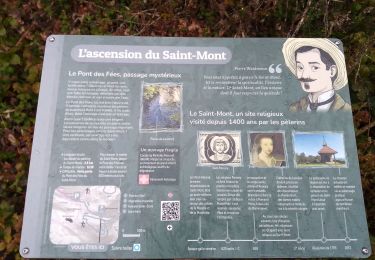 Excursión Senderismo Saint-Étienne-lès-Remiremont - rando chanoinesses 2024 - Photo