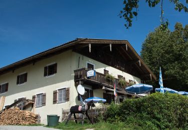 Tour Zu Fuß Murnau am Staffelsee - Guglhör-Rundweg - Photo
