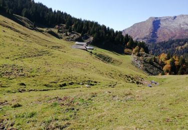 Trail Walking Cléry - Raffort / sous le col du Tamier - Photo