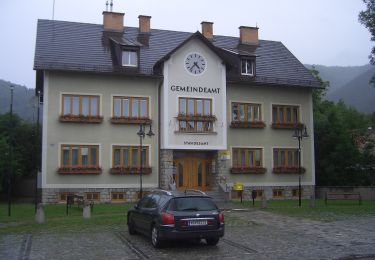 Tour Zu Fuß Gemeinde Grünbach am Schneeberg - Sparkasse Runde bei Grünbach - Photo