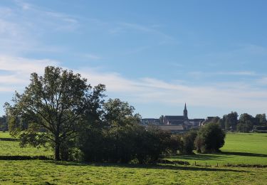 Tocht Stappen Daverdisse - rando haut fays 26-09-2023 - Photo