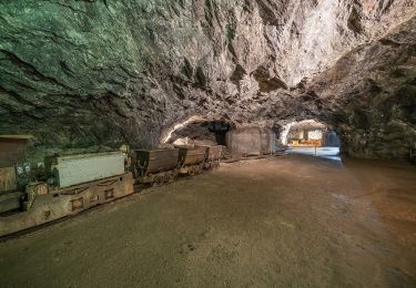 Percorso A piedi Friedrichroda - Rundweg Reinhardsbrunn - Photo