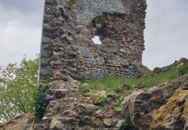 Trail Walking Saint-Hippolyte-de-Montaigu - Etang de capelle Masmolene - Photo