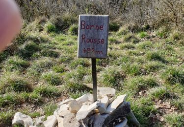 Tocht Stappen Marsanne - Sentier des jonquilles  - Photo