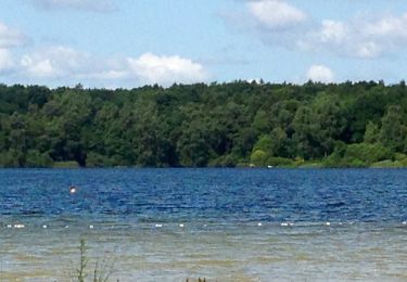 Tour Zu Fuß Bad Segeberg - Rundweg Ihlsee - Photo