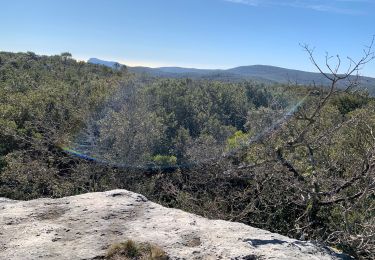 Tour Wandern Solliès-Toucas - Les avens 2020 février - Photo