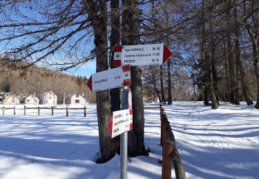 Percorso A piedi Masera - A08 - Masera località Ranco - Alpe Pescia - Photo