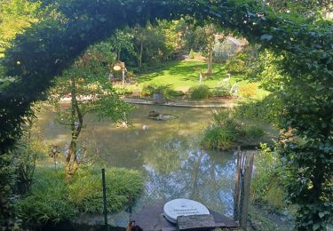 Randonnée Marche Villers-la-Ville - Balade du bois de Bérines - Photo