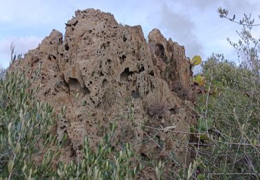 Tour Wandern Port-Vendres - batterie - collioure . fort sant elme .port vendres . la mauresque - Photo