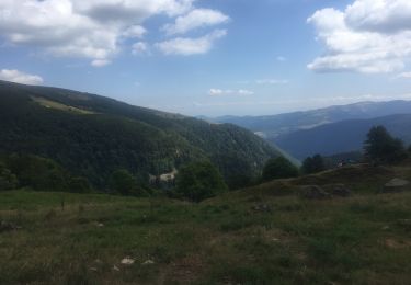 Tocht Stappen La Bresse - Lac altenweiher - Photo