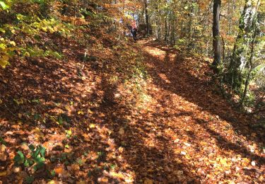 Trail Walking Conand - CHARVIEUX (BUGEY) (15 km - D. 609 m) - Photo